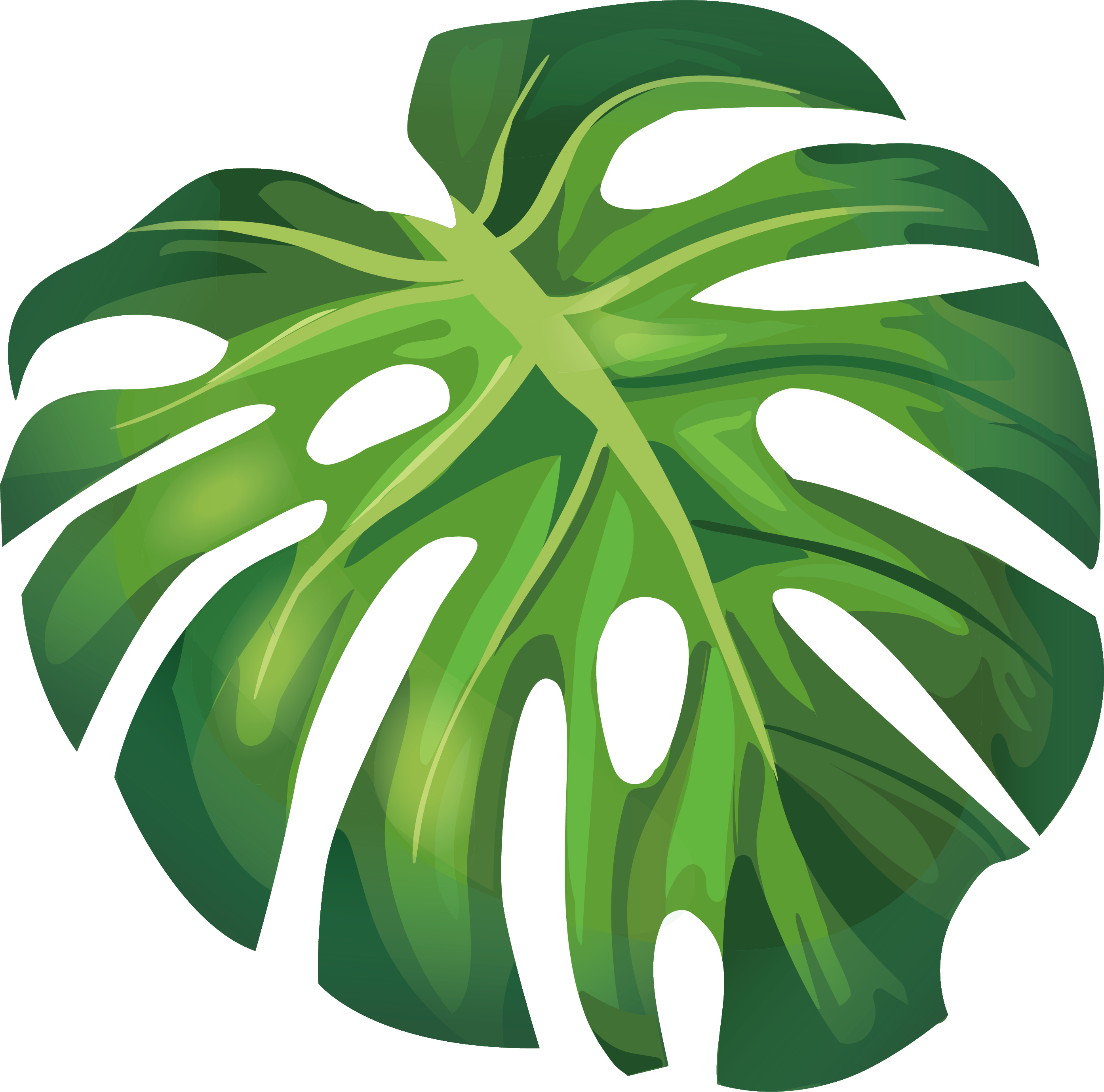 Leaf Arecaceae Euclidean Vector Illustration Banana Leaf Clip Art